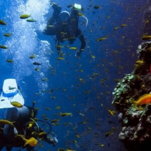 Scuba Diving Charter in  Boyton Beach